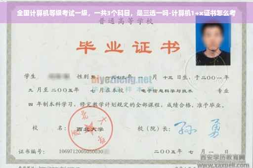全国计算机等级考试一级，一共3个科目，是三选一吗-计算机1+x证书怎么考