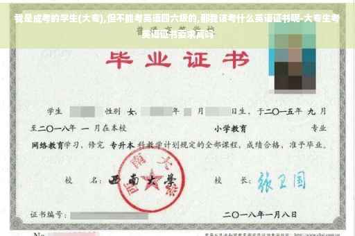 我是成考的学生(大专),但不能考英语四六级的,那我该考什么英语证书呢-大专生考英语证书要求高吗