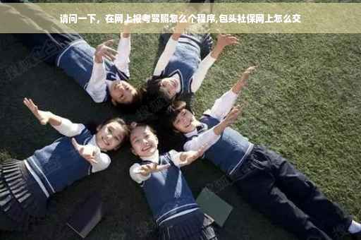 请问一下，在网上报考驾照怎么个程序,包头社保网上怎么交