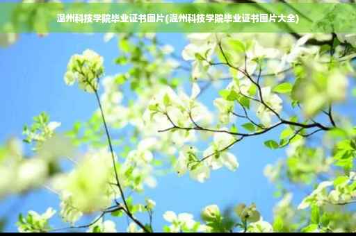 温州科技学院毕业证书图片(温州科技学院毕业证书图片大全)