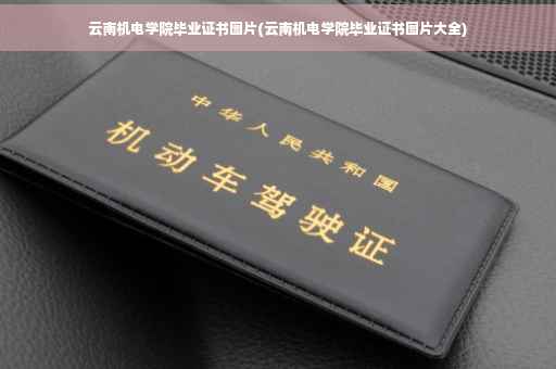 云南机电学院毕业证书图片(云南机电学院毕业证书图片大全)