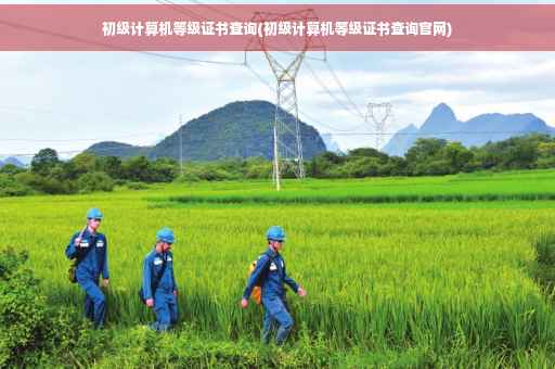 初级计算机等级证书查询(初级计算机等级证书查询官网)