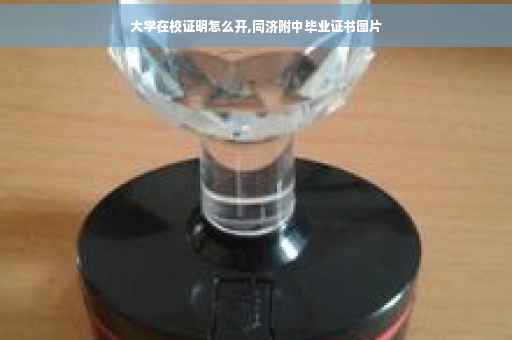 大学在校证明怎么开,同济附中毕业证书图片