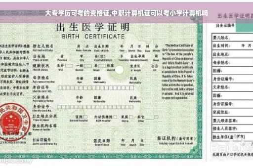 大专学历可考的资格证,中职计算机证可以考小学计算机吗