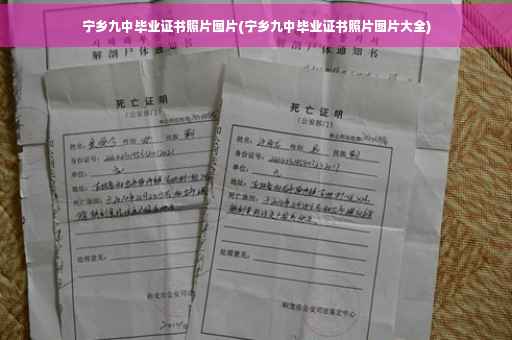 宁乡九中毕业证书照片图片(宁乡九中毕业证书照片图片大全)