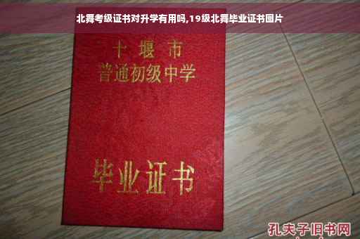 北舞考级证书对升学有用吗,19级北舞毕业证书图片