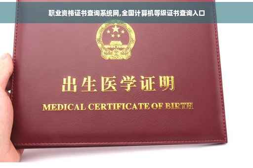 职业资格证书查询系统网,全国计算机等级证书查询入口