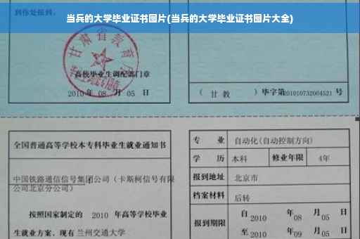当兵的大学毕业证书图片(当兵的大学毕业证书图片大全)