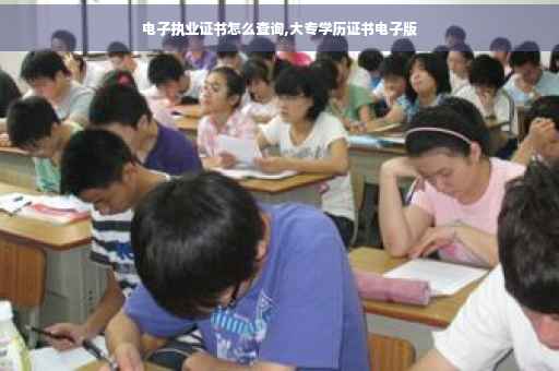 电子执业证书怎么查询,大专学历证书电子版
