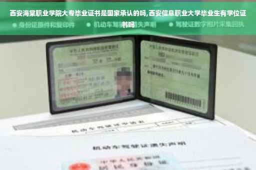 西安海棠职业学院大专毕业证书是国家承认的吗,西安信息职业大学毕业生有学位证书吗