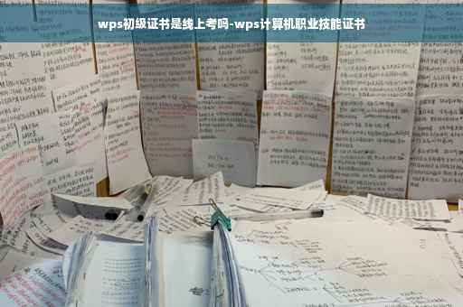 wps初级证书是线上考吗-wps计算机职业技能证书
