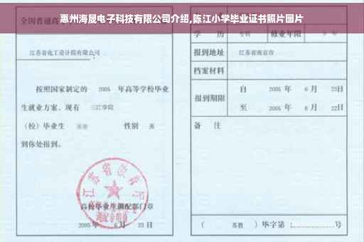 惠州海晟电子科技有限公司介绍,陈江小学毕业证书照片图片