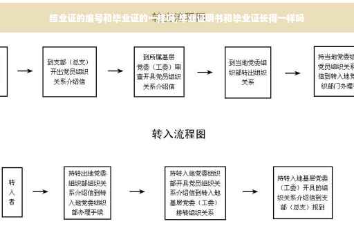 为什么办理银行卡要工作证明,去办银行卡的时候说要工作证明，工作证明是什么呀