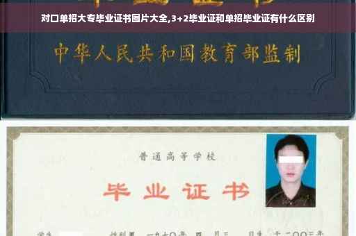对口单招大专毕业证书图片大全,3+2毕业证和单招毕业证有什么区别