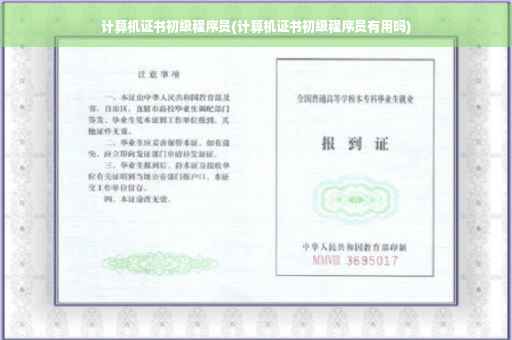 计算机证书初级程序员(计算机证书初级程序员有用吗)