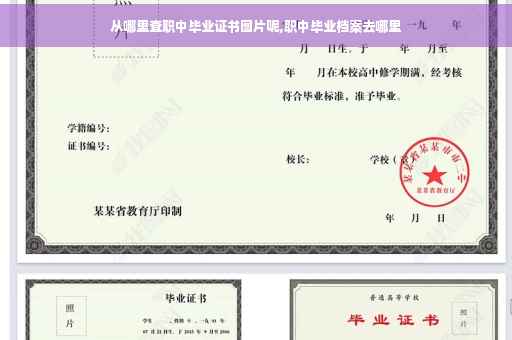 从哪里查职中毕业证书图片呢,职中毕业档案去哪里