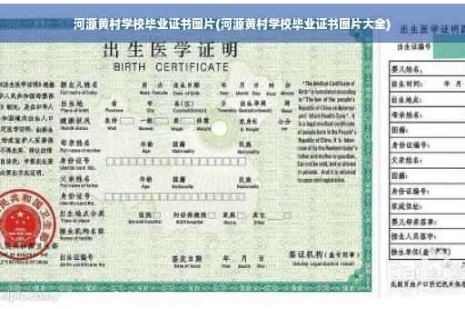 河源黄村学校毕业证书图片(河源黄村学校毕业证书图片大全)