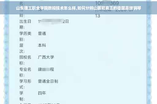 山东理工职业学院数控技术怎么样,如何分辨山寨和真正的德国品牌钢琴