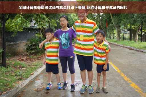 全国计算机等级考试证书怎么打印下来啊,职称计算机考试证书图片