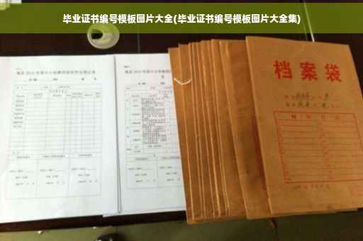 毕业证书编号模板图片大全(毕业证书编号模板图片大全集)