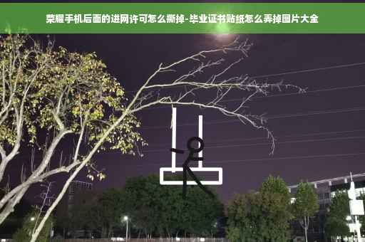 荣耀手机后面的进网许可怎么撕掉-毕业证书贴纸怎么弄掉图片大全