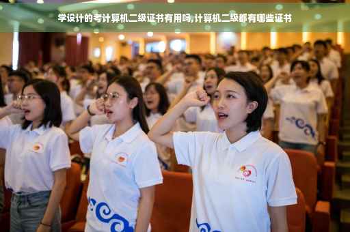 学设计的考计算机二级证书有用吗,计算机二级都有哪些证书