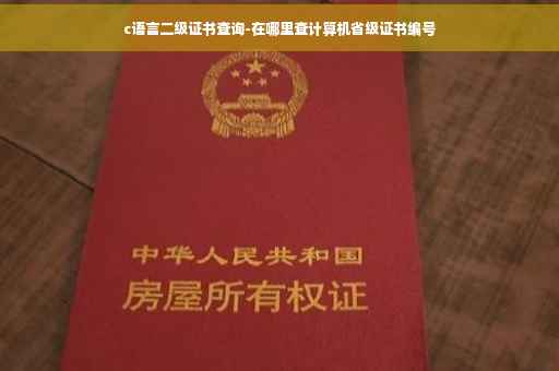 c语言二级证书查询-在哪里查计算机省级证书编号