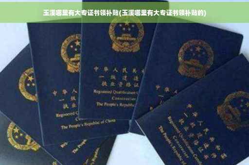 玉溪哪里有大专证书领补贴(玉溪哪里有大专证书领补贴的)