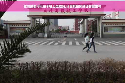 教资缴费可以在手机上完成吗,计算机程序员证书哪里考