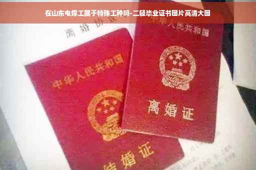 在山东电焊工属于特殊工种吗-二轻毕业证书图片高清大图