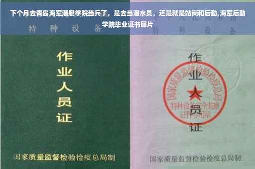 下个月去青岛海军潜艇学院当兵了，是去当潜水员，还是就是站岗和后勤,海军后勤学院毕业证书图片
