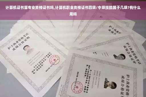计算机证书算专业资格证书吗,计算机职业资格证书四级/中级技能属于几级?有什么用吗