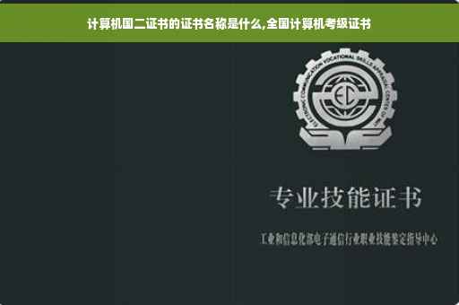 计算机国二证书的证书名称是什么,全国计算机考级证书