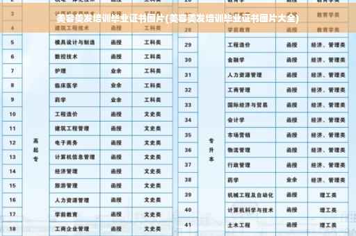 美容美发培训毕业证书图片(美容美发培训毕业证书图片大全)