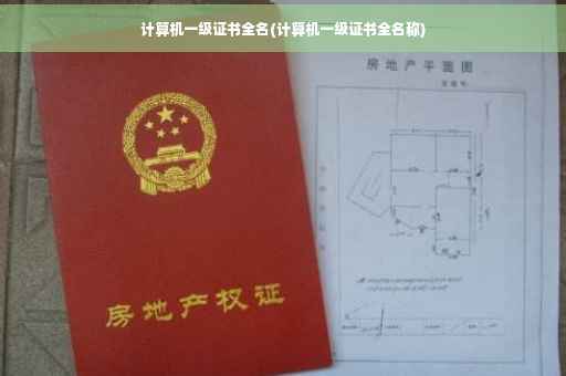 计算机一级证书全名(计算机一级证书全名称)