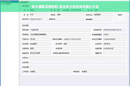 电力调度证啥样的,东北电力毕业证书图片大全