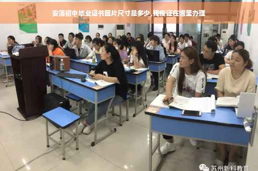 安溪初中毕业证书图片尺寸是多少,残疾证在哪里办理