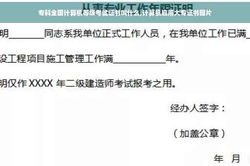 专科全国计算机等级考试证书叫什么,计算机应用大专证书图片