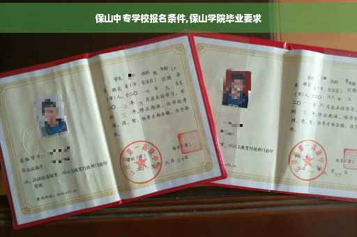 保山中专学校报名条件,保山学院毕业要求