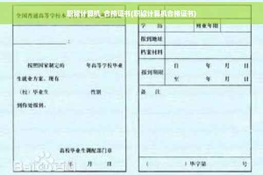 职称计算机_合格证书(职称计算机合格证书)