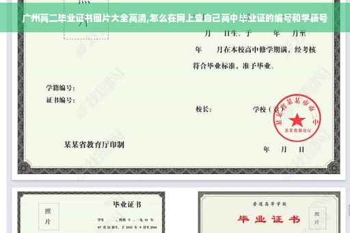 广州高二毕业证书图片大全高清,怎么在网上查自己高中毕业证的编号和学籍号