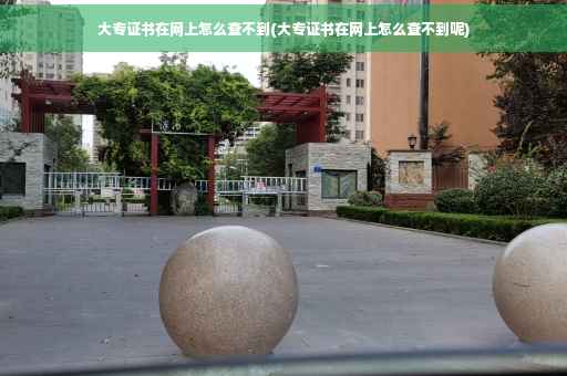 大专证书在网上怎么查不到(大专证书在网上怎么查不到呢)