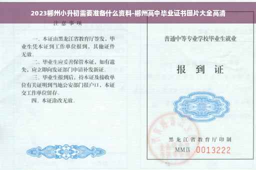 2023郴州小升初需要准备什么资料-郴州高中毕业证书图片大全高清