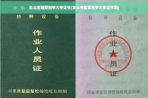 怎么考取营养学大专证书(怎么考取营养学大专证书呢)