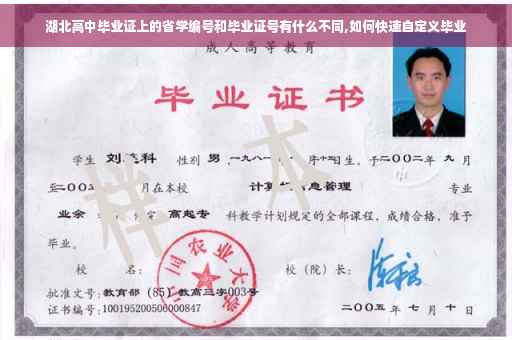 湖北高中毕业证上的省学编号和毕业证号有什么不同,如何快速自定义毕业