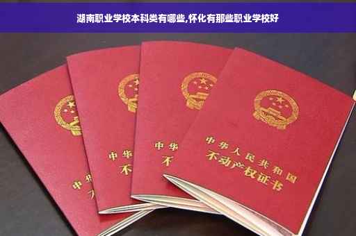 湖南职业学校本科类有哪些,怀化有那些职业学校好