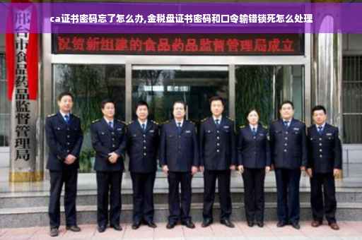 ca证书密码忘了怎么办,金税盘证书密码和口令输错锁死怎么处理