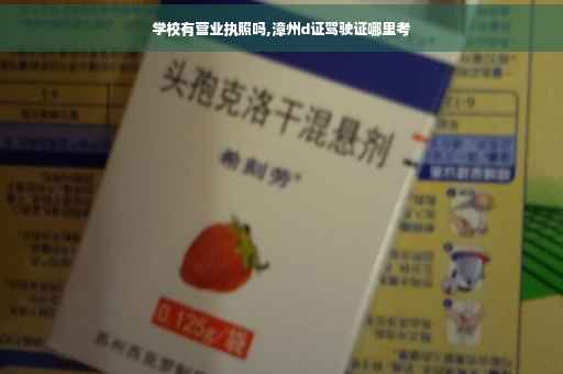 学校有营业执照吗,漳州d证驾驶证哪里考