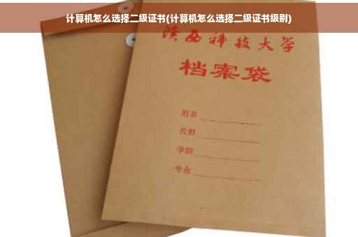 计算机怎么选择二级证书(计算机怎么选择二级证书级别)