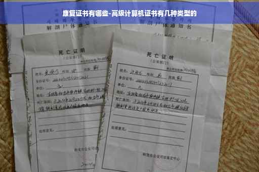 康复证书有哪些-高级计算机证书有几种类型的